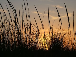 Villa Marina di Grosseto  44