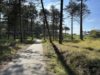 Westschoeven Coastal Cycling Path