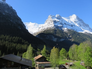 Aussicht auf den Eiger und Fiescherlücke