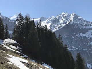 Frühling Bussalp