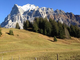 Wetterhorn