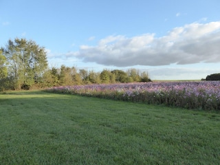 Boerderij Giroux Omgeving 29