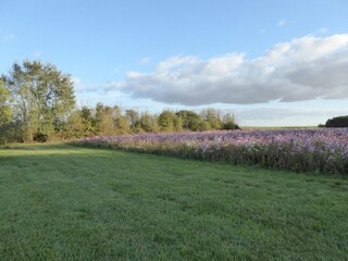 Farmhouse Giroux Environment 30
