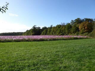 Bauernhof Giroux Umgebung 40