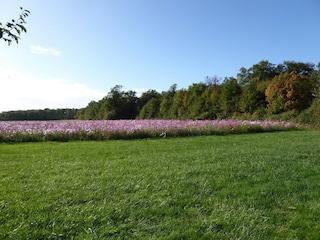 Boerderij Giroux Omgeving 35