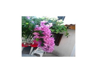 Ferienhaus Beli Außenaufnahme 2