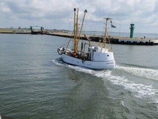 Ausflug nach Büsum