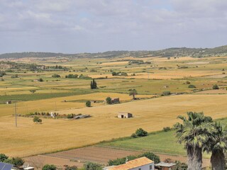 Holiday house Santa Margalida Environment 26