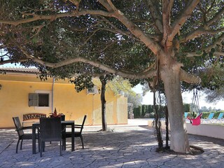 Villa Santa Margalida Environment 20
