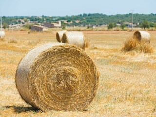Landhaus Campos Umgebung 34