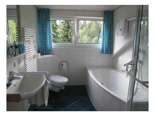 Vakantieappartement Hinterzarten Kenmerken 9