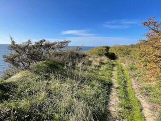 Maison de vacances Humble  23