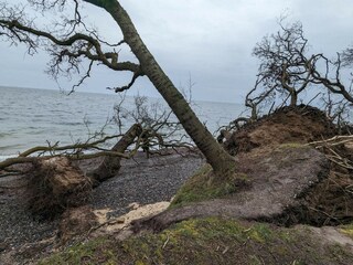 Vakantiehuis Bagenkop  5