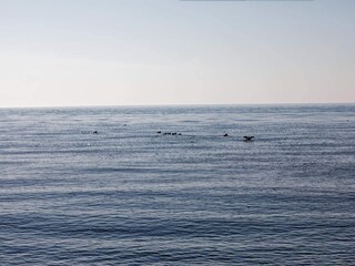 Ferienhaus Bagenkop  10