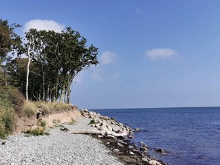 Casa per le vacanze Bagenkop  11