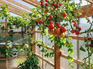 Vakantiehuis Ebeltoft  34