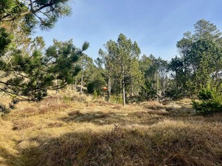 Vakantiehuis Skiveren  10