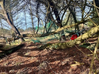 Casa de vacaciones Skiveren  14