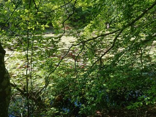 Casa de vacaciones Skiveren  27