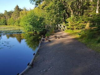 Casa de vacaciones Skiveren  34