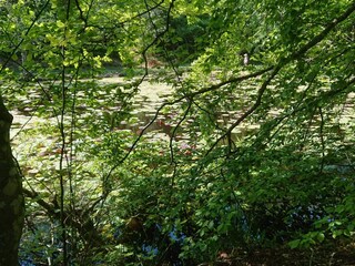 Casa de vacaciones Skiveren  9