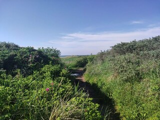 Casa de vacaciones Skiveren  10