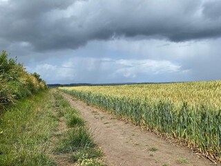 Vakantiehuis Broager Buitenaudio-opname 1