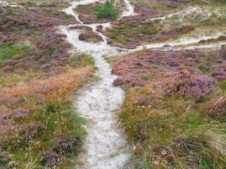 Holiday house Henne Strand  26