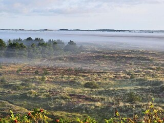 Casa de vacaciones Henne Strand  38