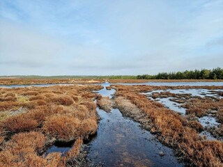 Casa per le vacanze Henne Strand  36