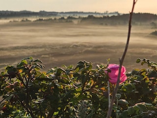 Ferienhaus Henne Strand  28