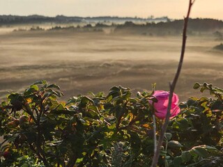 Vakantiehuis Henne Strand  36