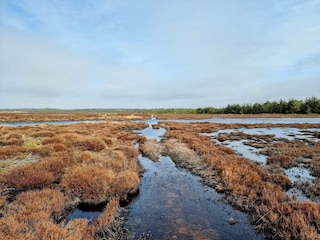 Ferienhaus Henne Strand  33