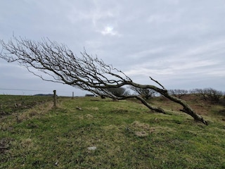 Ferienhaus Spøttrup  34