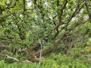 Ferienhaus Spøttrup  19