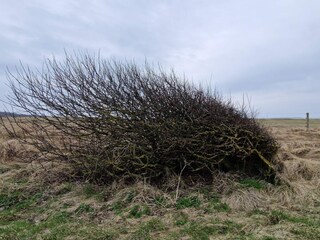 Vakantiehuis Spøttrup  38