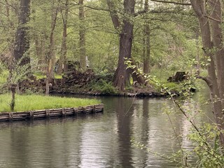 Apartment Lübbenau Umgebung 8