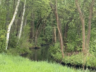 Apartment Lübbenau Umgebung 9