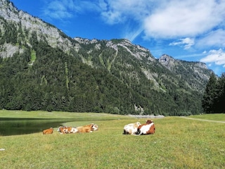 Ferienwohnung Ruhpolding Umgebung 11