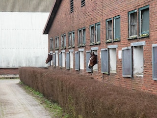 Ferienhaus Greetsiel Außenaufnahme 20