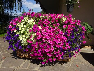 Appartamento per vacanze Millstatt Registrazione all'aperto 8