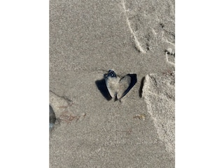 Matter of the heart