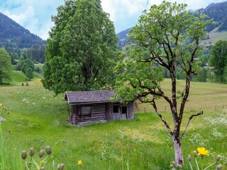 Ferienhaus Jochberg Außenaufnahme 5