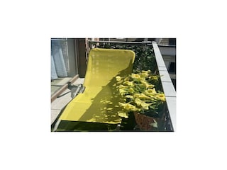 Appartement Spa Buitenaudio-opname 2