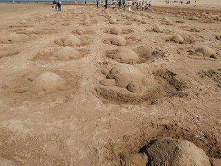 Appartement Westende Environnement 18