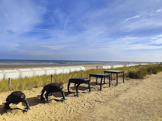 Apartment Westende Umgebung 19