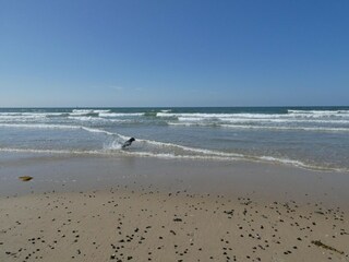 Apartamento Westende Entorno 20