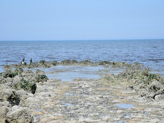 Appartement Westende Environnement 25