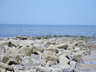 Appartement Westende Environnement 26