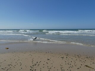 Apartamento Westende Entorno 29